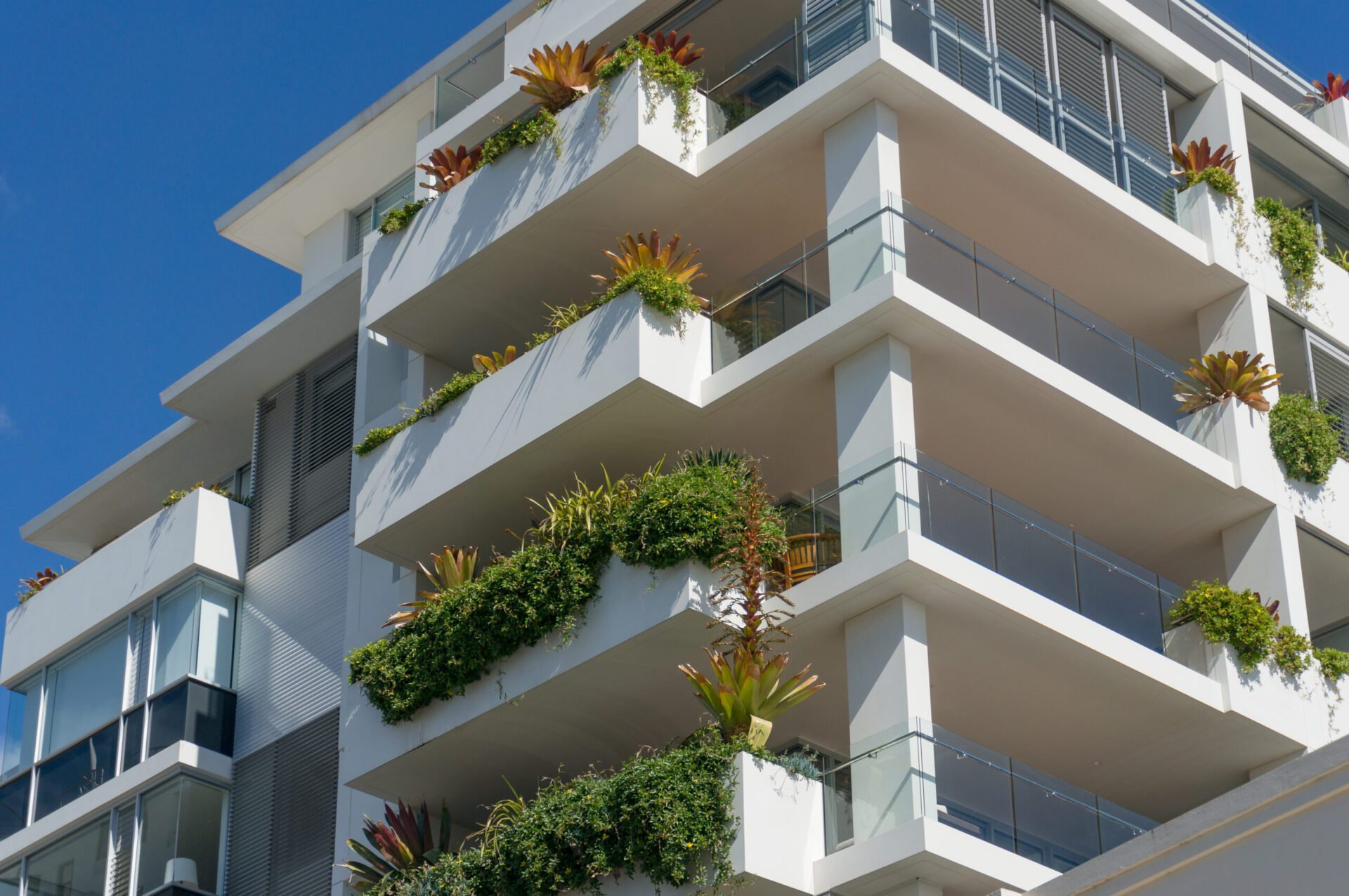 white building with green plants on balconies