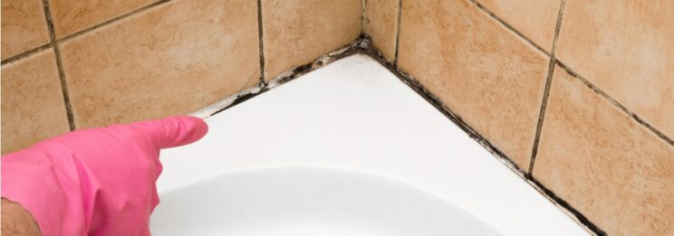 mould with bathroom waterproofing