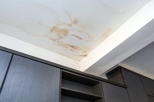 Watermarks on the ceiling due to leaking shower