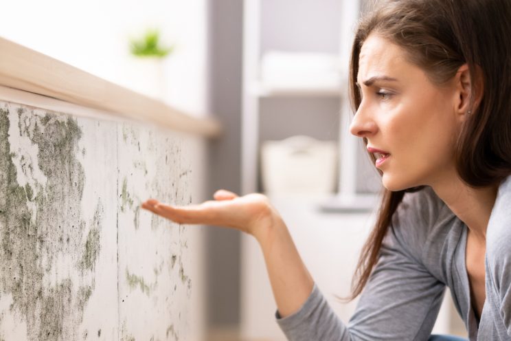 woman inspecting mouldy wall